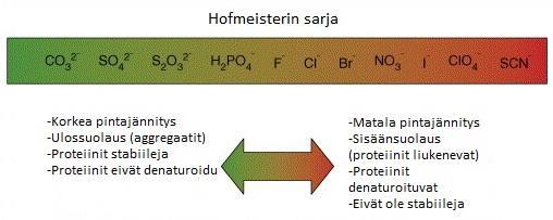 raskasmetallit, ja proteolyyttiset inhibiittorit suojaavat proteiineja hajoamiselta.
