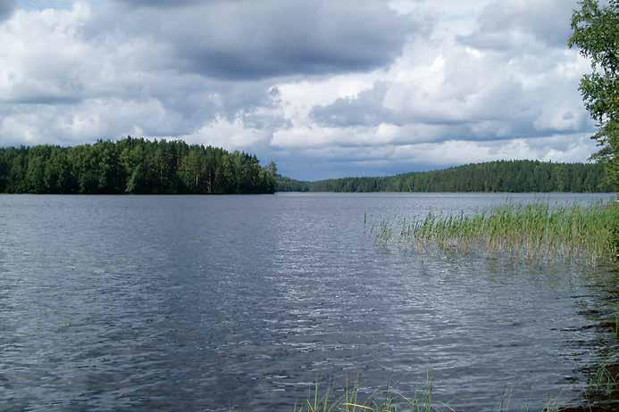 Näkymä Liikolan Mat Jussin niemestä Hatakanlahden yli kohti Riisrantaa. Karjalaisia kalastajia Antrean Liikolassa Harri E.