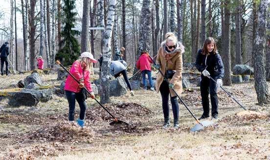 Talkoot Karjalassa Antrean kirkonmäen siivoustalkoissa riitti puuhaa kaikille. Etualalla matkakokemuksistaan kirjoittanut Iris Kekki (vasemmalla), Salla Kekki ja Sara Nurmilaukas.