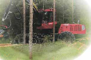 Emm ol nnn järjstänt työ- ja päivätoiminnan piirissä näin isoa tilaisuutta itsnäisyyspäivä-tmalla.