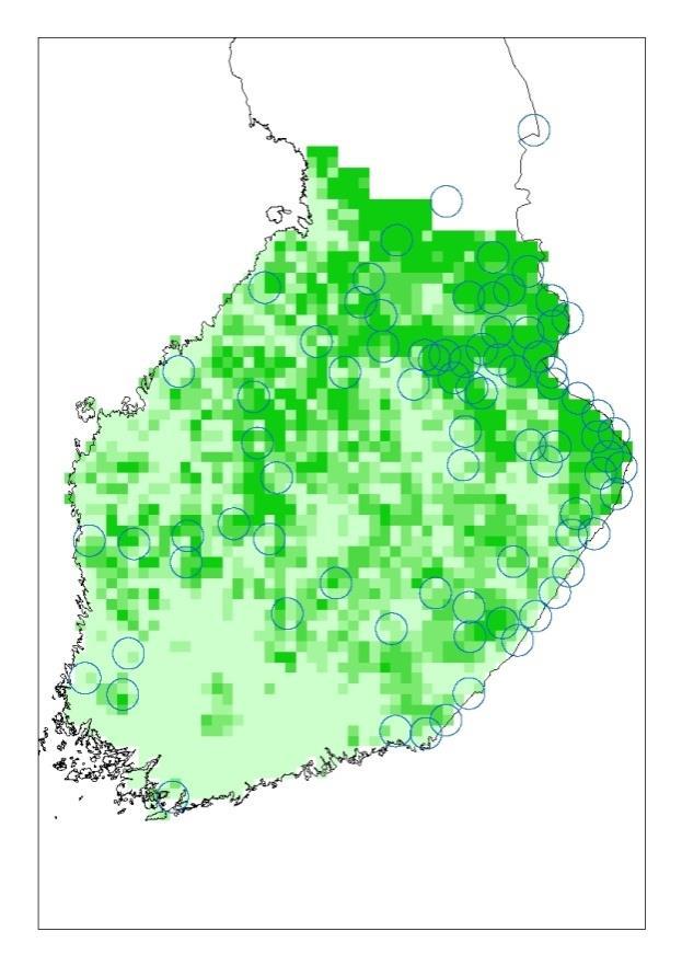 metsäpeuralle ja