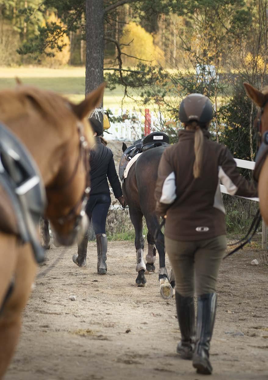 ASIAKASPALVELU Ratsastustalli on asiakaspalveluyritys, jonka asiakkaat ovat hyvin laatutietoisia ja arvostavat ystävällistä asiakaspalvelua ja ammattimaista toimintaa.