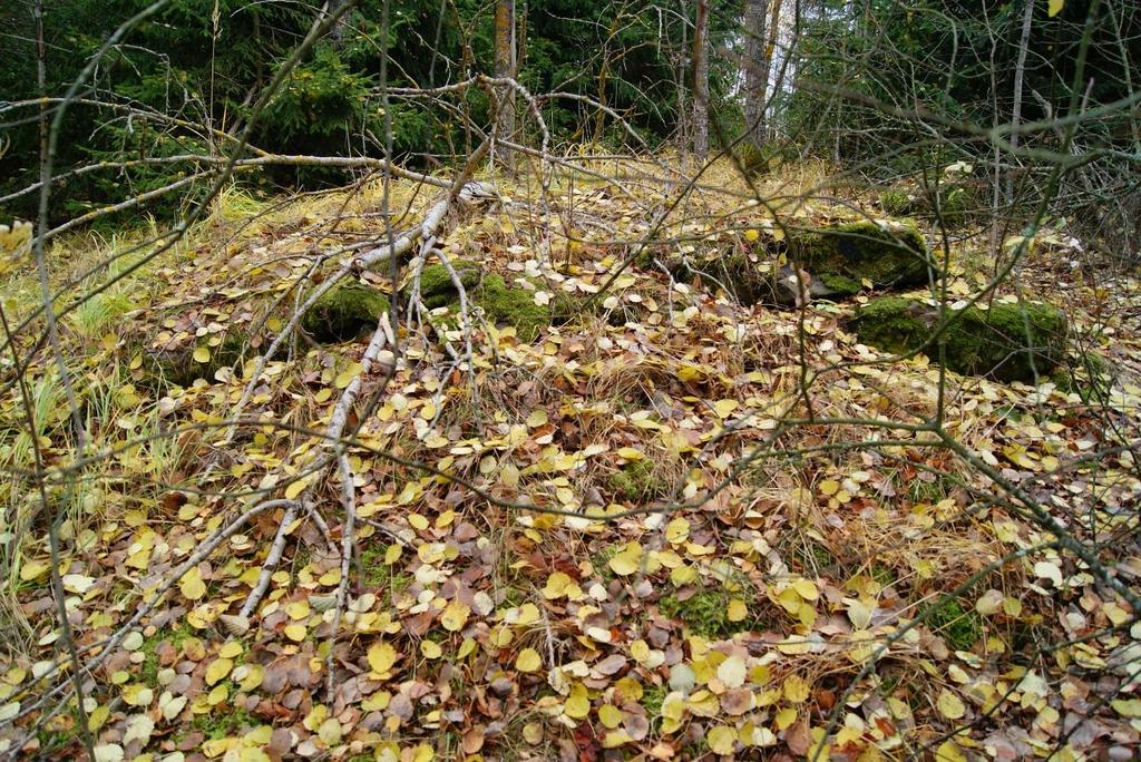 Tiedossa olevat maankäyttösuunnitelmat: Alueelle suunnitellaan asemakaava-aluetta. Suositeltavat jatkotoimenpiteet: S-merkintä asemakaavaan.