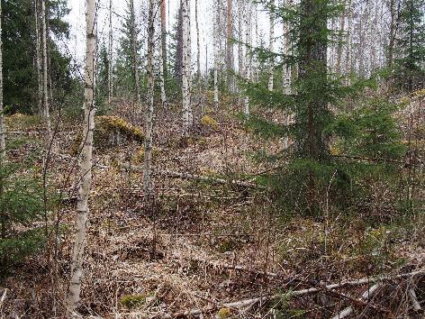 Inventointialueen sijainti (sinisellä) ja lähistön