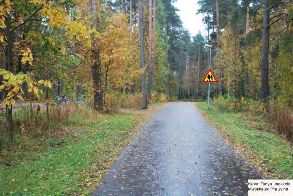 5.4. Koulun lähialue Nykytila Koululle kulkevat hyväkuntoiset pyörätiet metsäisten alueiden halki.