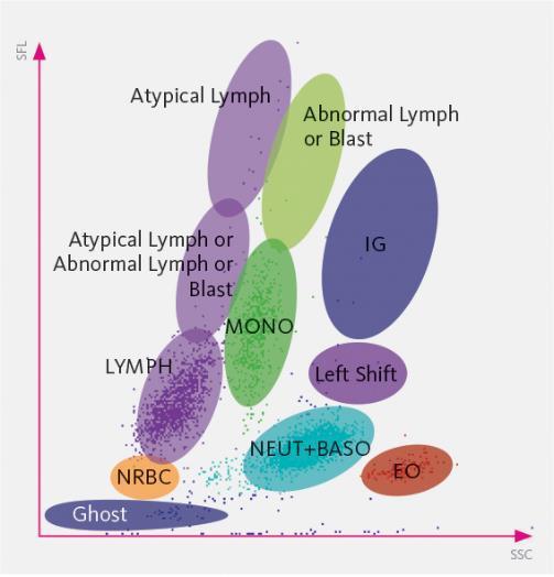 20 Kuva 9. Valkosolujen erittelylaskennan hajontakuvio (Sysmex Europe 2017a). Fetaalihemoglobiinin virtaussytometrisessa määrityksessä käytetään kahta erillistä vasta-ainetta.