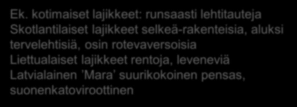 lehtitauteja Skotlantilaiset