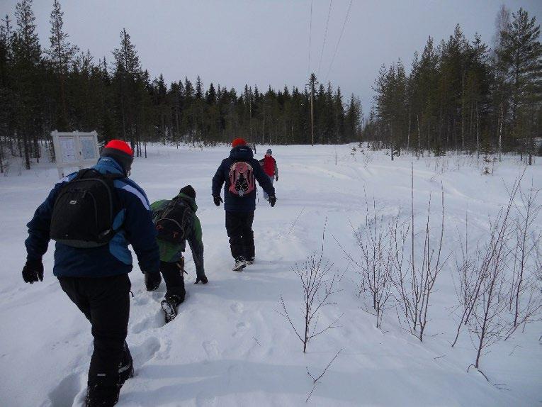 Kuva 1. Talvipatikointia (Laura Niskala) Metsässä on mahdollisesti tehty aistiharjoituksia, jos ilmapiiri on tukenut niiden toteuttamista.