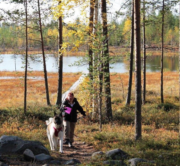 Tanja Mykkänen Koira-avusteinen terapia yksilökuntoutuksen tukena Asiakkaiden kanssa olen hyödyntänyt Jari Salmelan Viidakkoportaat sekä Eeva Kahilaniemen Eläinavusteinen interventio kirjojen