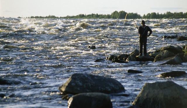 Rannikkovedet Tornionjoen vesienhoitoalueen rannikkovedet kattavat Tornionjoen suualueen rannikkovedet.