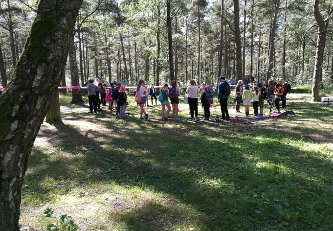 Valmiita linnunpönttöjä laskettiin valmistuneen suurin piirtein 40 kappaletta koko ohjelmapuiston aikana. Trivial Pursuit-tietovisassa käytiin tiukkoja kamppailuja joukkueiden välillä.