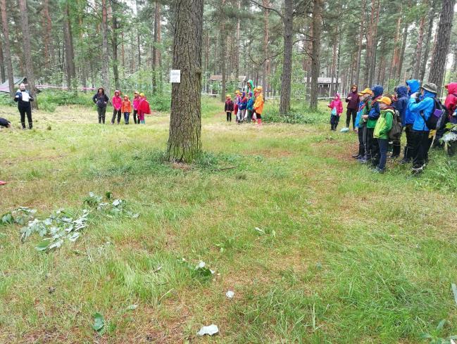 Kuviossa numero 14 leirilippukunta pääsi tunnustamaan toisillensa hauskoja ja ehkä hieman häpeällisiä asioita, kuten kuka oli jättänyt hampaansa pesemättä kyseisenä aamuna. Kuvio 14.