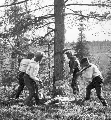 Auskultointi poistui vasta vuonna 1972, jolloin myös ns. taksamittari-työtapa loppui. Vuonna 1957 käynnistyi maanmittausteknikkojen koulutus.