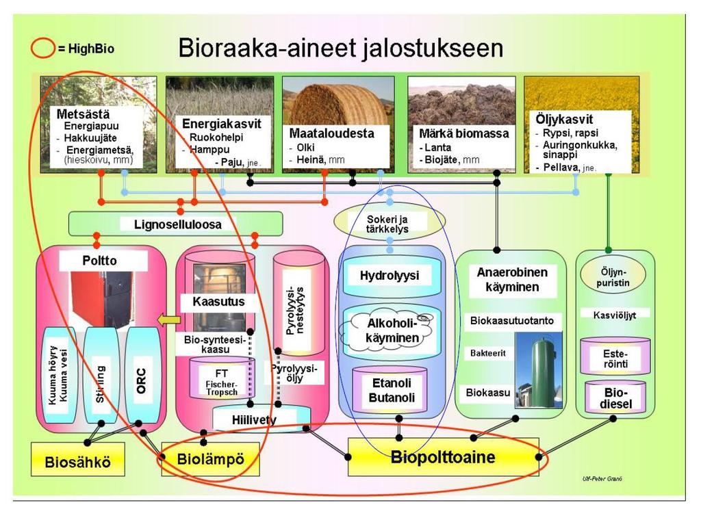 Biolaakson