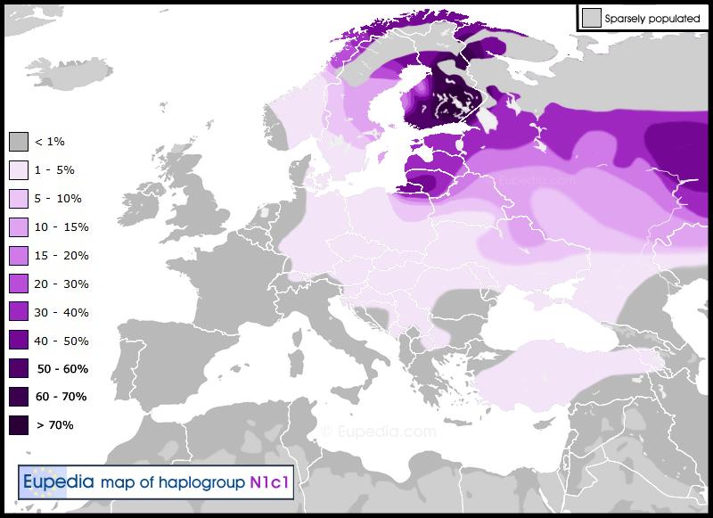 Suhteellisesti eniten haploryhmän