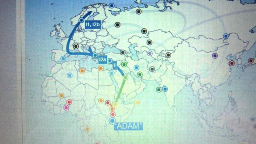 6.3 Vuoristen haploryhmä Myös oman isoisäni alkuperä oli selvittämättä. Juho Vuorinen oli syntynyt Haminassa au.