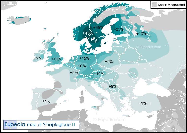 Suhteellisesti eniten I1-haploryhmän miehiä asuu Ruotsissa, jossa heitä on eniten Gotlannissa. Tämä viittaisi goottilaisiin, jotka hallitsivat Itämeren kauppaa noin 1500 2000 vuotta sitten.