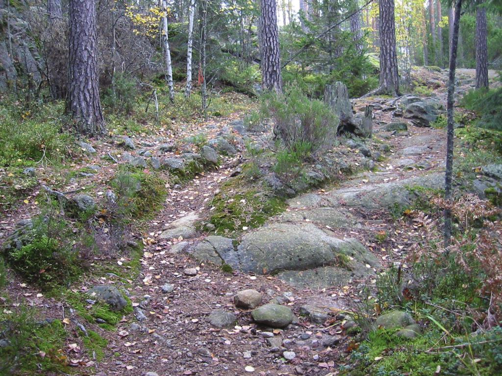 Kuva 10. Kulumisen jälkiä yhdellä Karjakaivon reitillä. Kuva: Meri Mannerla- Magnusson.