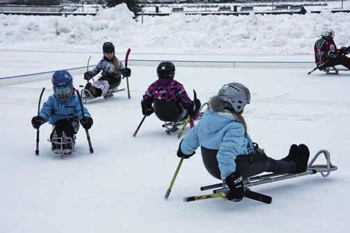 Talviparalympiapäivä