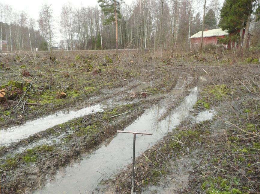 Petäykseen menevän  Hakattua savista