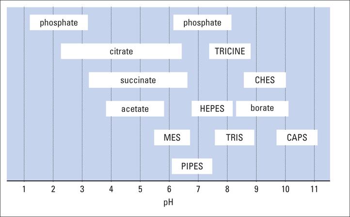 9 Yleisiä puskuriliuoksia Joidenkin yleisten puskurien ph-alueita (Reed 2013). Monet perinteisten puskurien komponenteista (esim. fosfaatti, sitraatti) voivat vaikuttaa solujen aineenvaihduntaan.