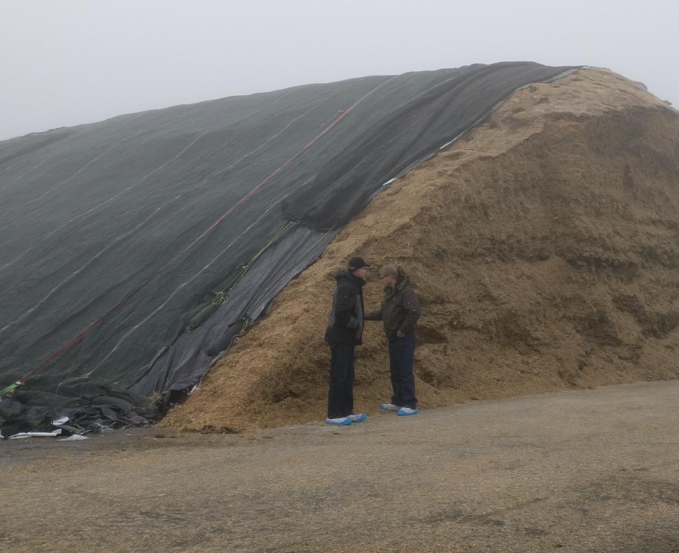 Toimintaympäristö Saksassa Tyypilliset syötteet Syötteissä suurinta roolia näytteli maissi Maissia viljeltiin laajasti biokaasulaitosten ympäristössä Maissin hinta 26 /t Korjuukustannus 9 /t