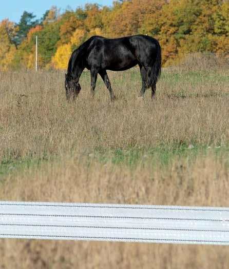 85030009 5 kpl/pkt 9,35 Swift-vaihdekela Suunniteltu helpottamaan ja säästämään