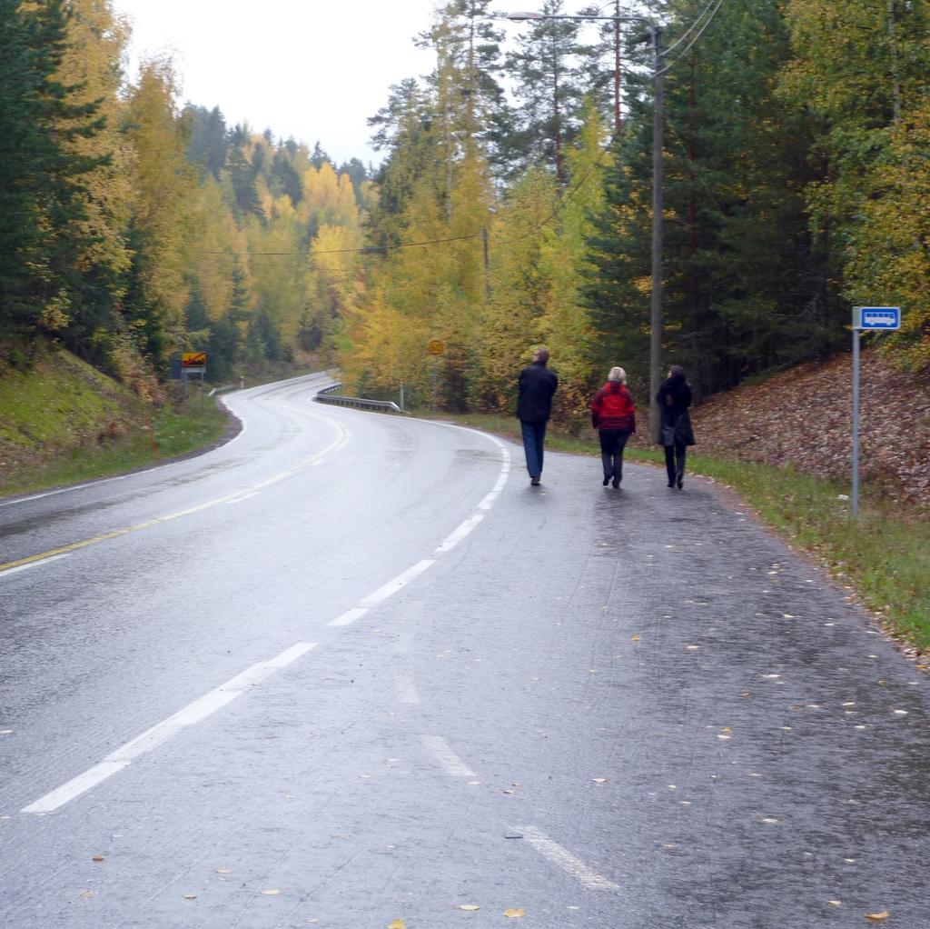 Raportteja 14 2012 Kevyen liikenteen väylän rakentaminen maantielle 3051 Toimenpideselvitys,