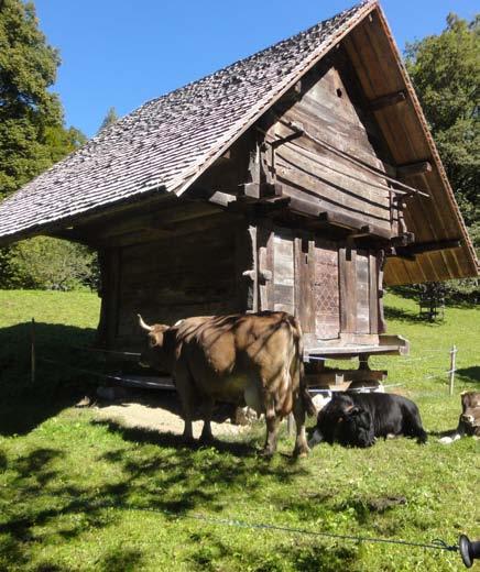 Päätteeksi astelet Euroopan vanhimmalla puusillalla Kapellbrückellä, joka on Luzernin tunnus. Iltapäivääsi voit jatkaa Luzernin kävelykeskustassa vaikka ostoksia tehden.
