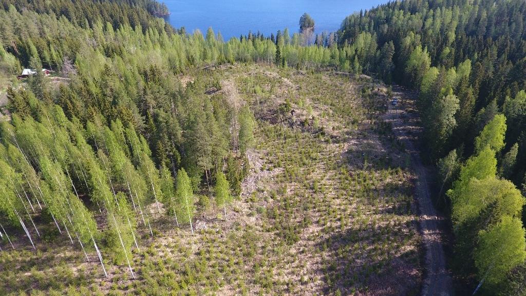 tuottamaa kuvamateriaalia voisi käyttää myöskin metsäsuunnitelman osana.