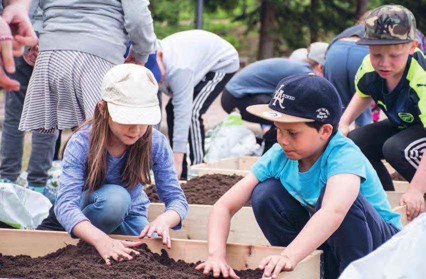 27 Päätöksen oppilaan ottamisesta montessoriopetukseen tekee n rehtori. Oppilaspaikkaa ei vahvisteta erikseen vastaanotetuksi.