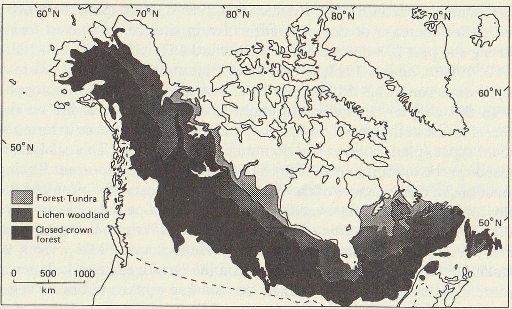 Kuva 2. Boreaalinen metsävyöhyke Pohjois-Amerikassa (Shugart ym. 1992: 145). 2.2. Tundra Tundra on pohjoisin kasvillisuusvyöhyke maapallolla.