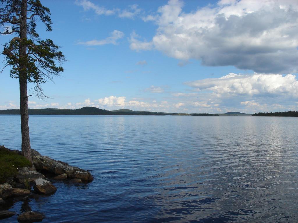 Inarijärven tilaa koskevat tarkastelut 2016-2017 Annukka Puro-Tahvanainen LAPELY Jukka Aroviita,