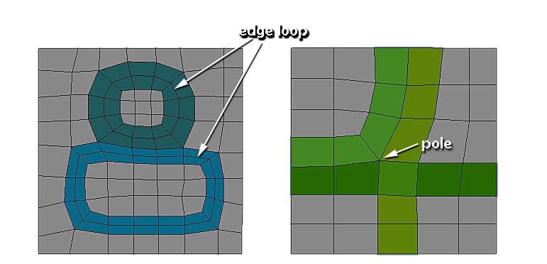 10 Kuva 5. Edge loop ja pole 4.4 Referenssikuvat 3D-mallinnus on aikaavievää puuhaa, ja usein tuotantojen aikarajat ovat tiukat.