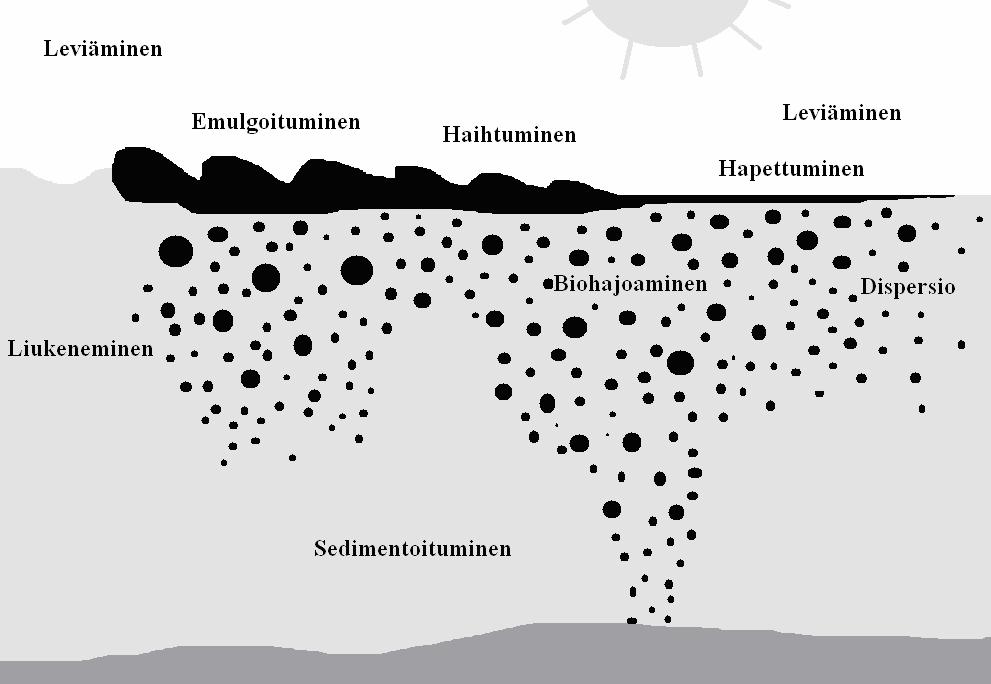 25 hapettuminen, liukeneminen ja sedimentoituminen. Säistymisprosesseja on esitetty kuvassa 3.