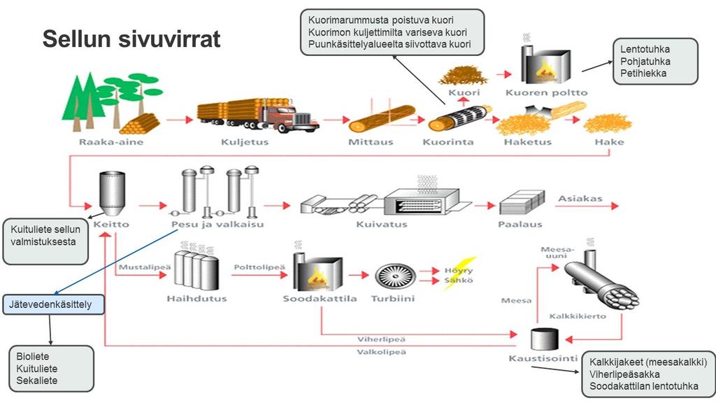 Kuva 1. Selluntuotannon sivuvirtojen muodostuminen prosessin eri vaiheista (Lehtovaara 2015, 4) Kuva 2.