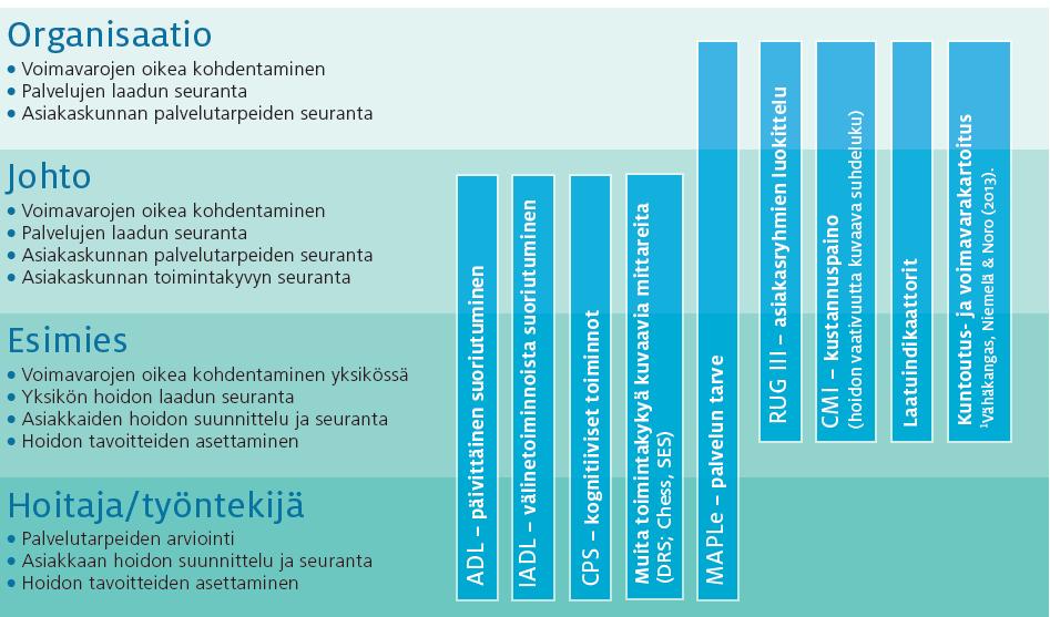 RAI-arviointitiedon hyödyntäminen mikä näkökulma?