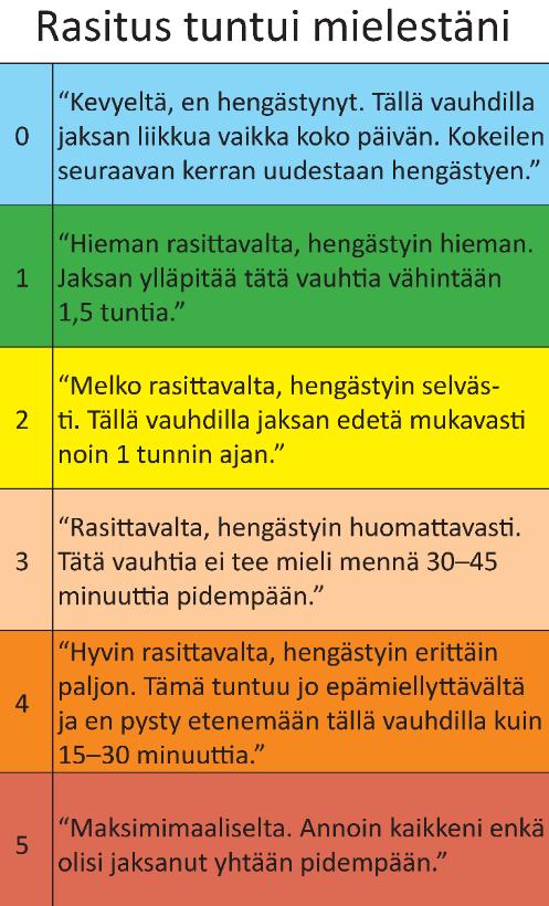 KUVA 3 Jyväskylän Satama-Alba