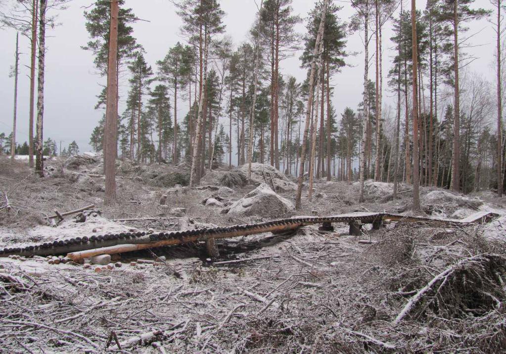 Uhkana kaavoitus ja metsähakkuut Kuva: Vaasan