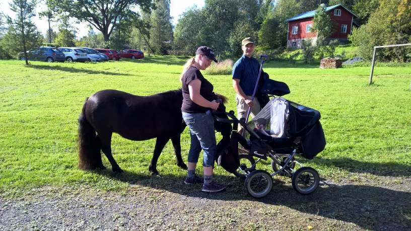 Kärtänon pärkkipäikällä kylä yhdistyksemme reippäät mäinosmiehet olivät tehneet tyo nsä erinomäisesti: moni kertoi tulleensä kärtänon täpähtumästä kylä llemme.