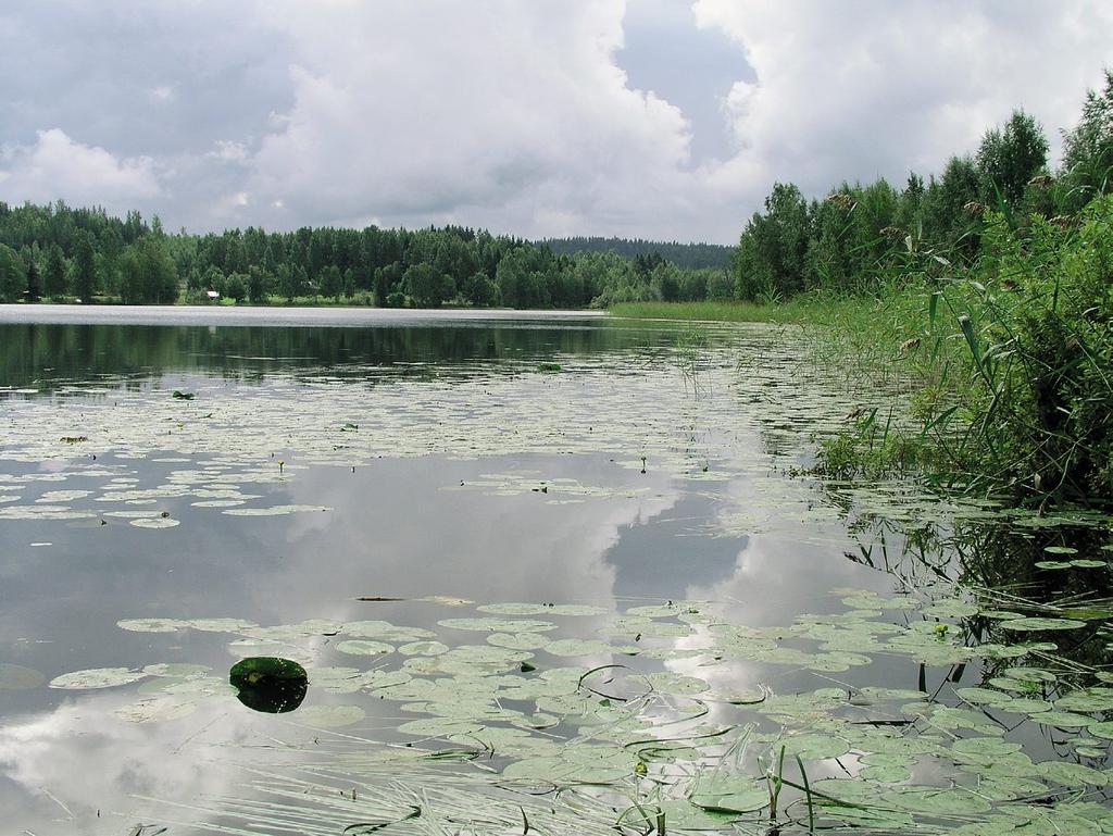 Vertailujärvi Valkeinen Maaningalla.