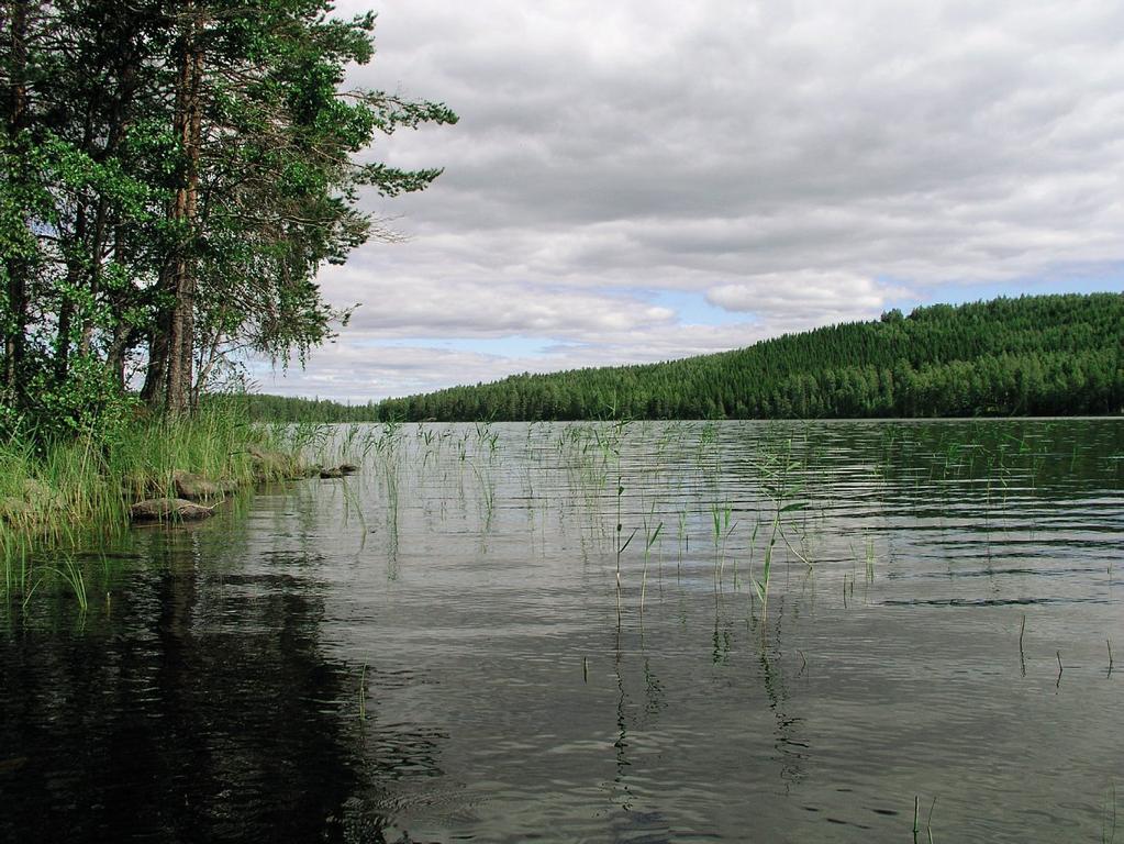 järvi Varpanen Maaningalla.