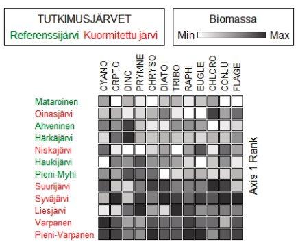79 Suomen ympäristö 42 2009 Monimuuttujamenetelmät NMS-analyysissä vertailu- ja kuormitetut järvet erottuivat kohtuullisen hyvin toisistaan ryhmäkohtaisten biomassojen perusteella.