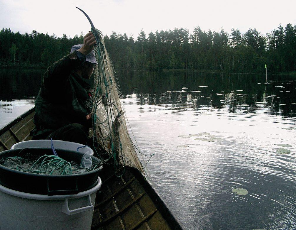 KIRJALLISUUS EN 15204, 2006. Water quality. Guidance standard on the enumeration of phytoplankton using inverted microscopy (Utermoehl technique). 46 s. Granberg, K.