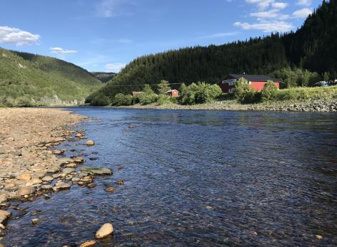 Se on erittäin helppo kalastaa ja kahlata ja heittotilaa on hyvin. Poolin yläosalla on useita paikkoja, joihin lohet pysähtyvät mielellään.