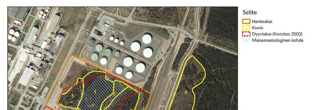 Kuva 25. Metsäkuviot hankealueelta ja sen läheisyydestä (Kanckos, 2010) sekä dyynialueen rajaus (Kanckos, 2003) ja maisemaekologisen kohteen rajaus (Kokkolan kaupunki, 1994).