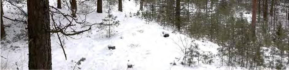 Hankealueen läpi lounaasta