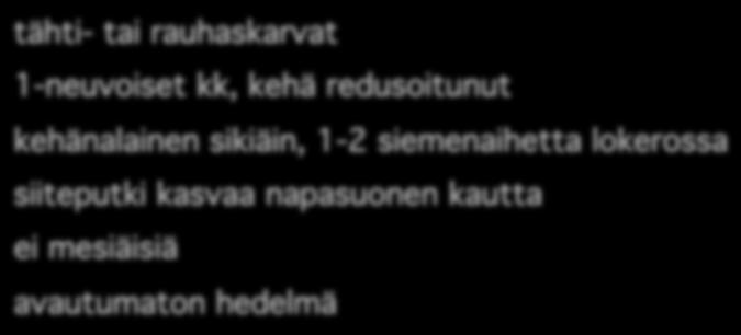 . ym. 2008. Plant systematics. 3. painos tähti- tai rauhaskarvat! 1-neuvoiset kk, kehä redusoitunut! kehänalainen sikiäin, 1-2 siemenaihetta lokerossa! siiteputki kasvaa napasuonen kautta!