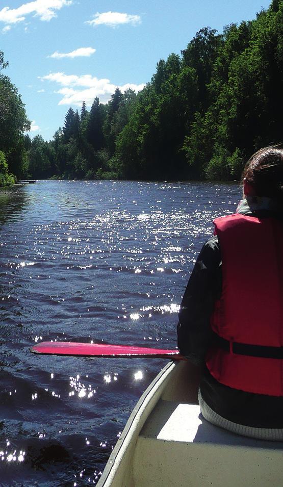 Saarijärven rannalla on viihtyisä korkean palvelutason levähdysalue, kahvilaravintola Karhunpesä ja lapsiystävällinen uimaranta.