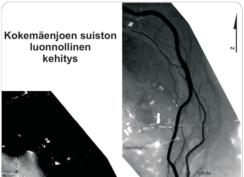 98 4.8.4 Kokemäenjoen suiston tuleva kehitys Pihlavanlahden kehitys riippuu osaltaan siitä, kuinka luonnollisesti sen annetaan kehittyä.